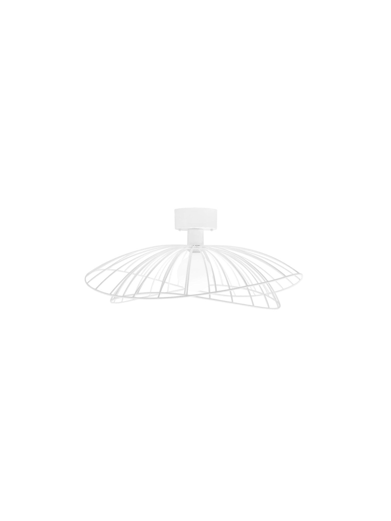 Deckenleuchte RAY | GLOBEN LIGHTING - Hometerior - Globen Lighting - Deckenleuchte RAY | GLOBEN LIGHTING - Hometerior