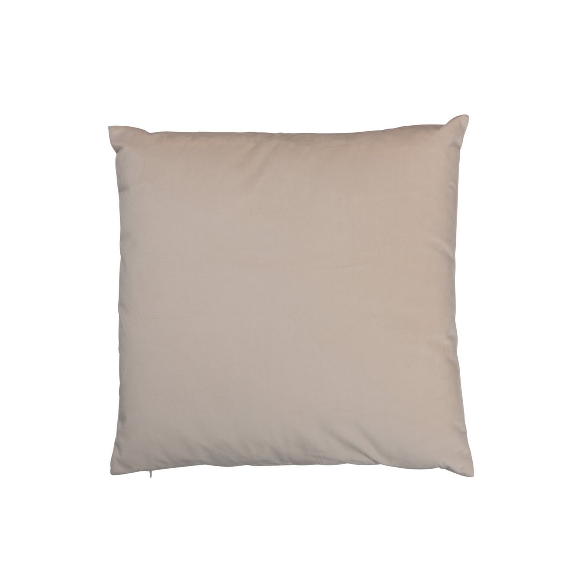 J - Line cushion Square Velours - velvet - cream - Hometerior - J - Line - J - Line cushion Square Velours - velvet - cream