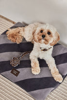 OYOY ZOO Kaya Dog Blanket - Large - Hometerior - OYOY ZOO - 