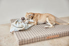 OYOY ZOO Kaya Dog Blanket - Large - Hometerior - OYOY ZOO - 