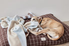 OYOY ZOO Kaya Dog Blanket - Small - Hometerior - OYOY ZOO - 