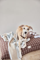 OYOY ZOO Kaya Dog Blanket - Small - Hometerior - OYOY ZOO - 