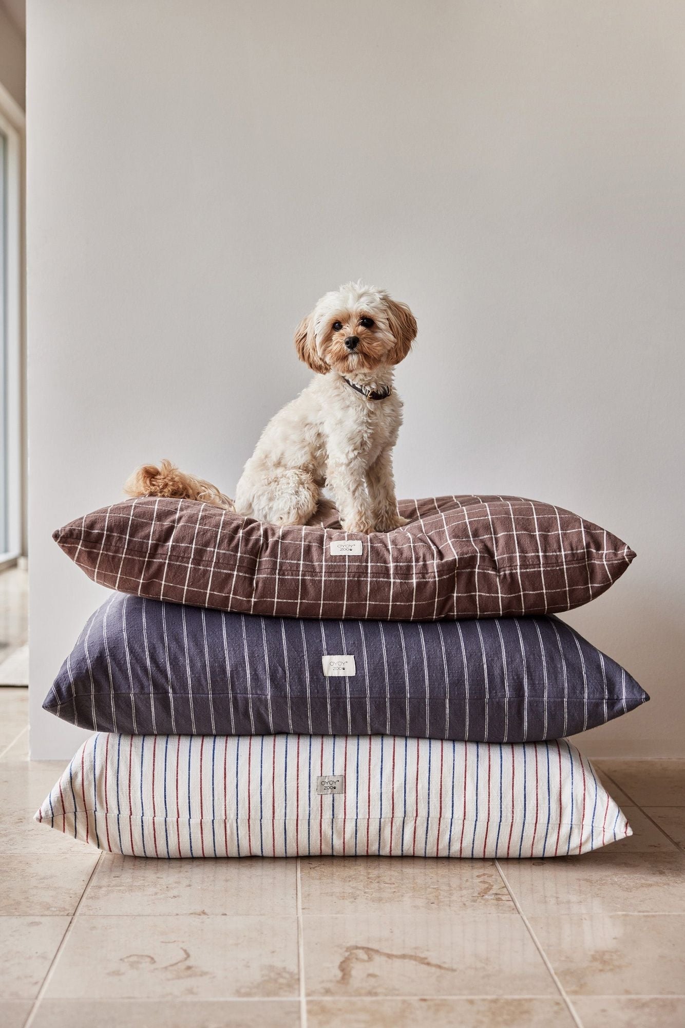 OYOY ZOO Kyoto Dog Cushion - Small - Hometerior - OYOY ZOO - 