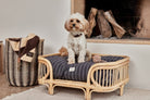 OYOY ZOO Kyoto Dog Cushion - Small - Hometerior - OYOY ZOO - 