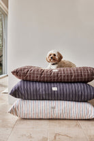 OYOY ZOO Kyoto Dog Cushion - Small - Hometerior - OYOY ZOO - 