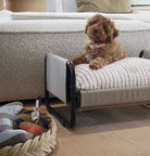 OYOY ZOO Milo Dog Bed - Medium - Hometerior - OYOY ZOO - 