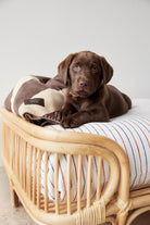 OYOY ZOO Otto Dog Bed - Small - Hometerior - OYOY ZOO - 