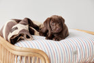 OYOY ZOO Otto Dog Bed - Small - Hometerior - OYOY ZOO - 