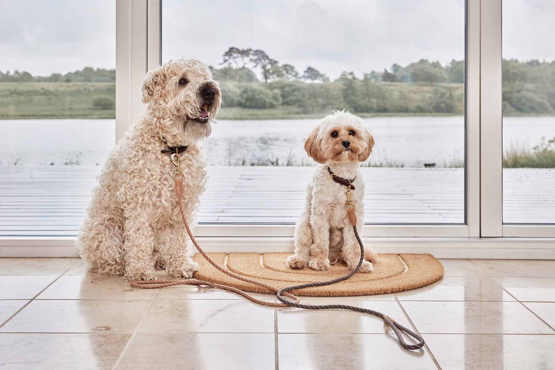 OYOY ZOO Perry Dog Leash - Hometerior - OYOY ZOO - 