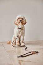 OYOY ZOO Perry Dog Leash - Hometerior - OYOY ZOO - 