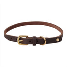 OYOY ZOO Robin Dog Collar - Extra Large - Hometerior - OYOY ZOO - 