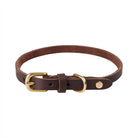 OYOY ZOO Robin Dog Collar - Large - Hometerior - OYOY ZOO - 