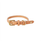 OYOY ZOO Robin Dog Collar - Small - Hometerior - OYOY ZOO - 