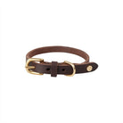 OYOY ZOO Robin Dog Collar - Small - Hometerior - OYOY ZOO - 