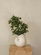 Shell Vase | ferm LIVING - Hometerior - ferm LIVING - Shell Vase | ferm LIVING