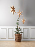 Weihnachtsstern WOOD 65 | Villa Collection - Hometerior - Villa Collection - 